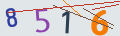 verifycode